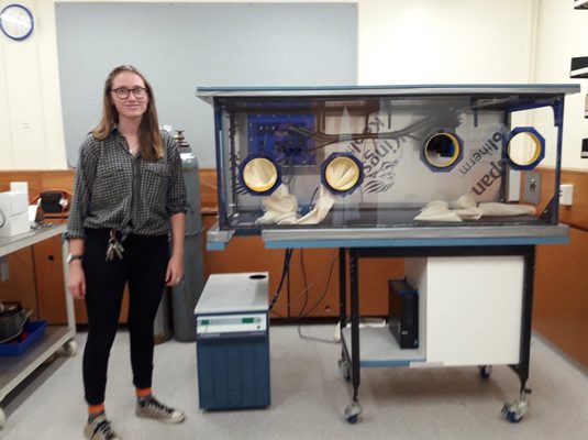 Ingrid Lindeman with the GeoMIC glovebox