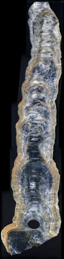 Polished section of stalagmite GT1, Guillotine Cave
